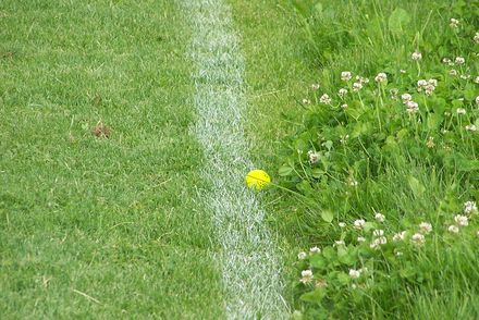 SwinGolf Vereinfachte Spielregeln